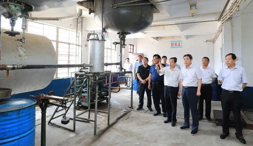 集團領(lǐng)導(dǎo)深入實業(yè)公司調(diào)研，聚焦轉(zhuǎn)型發(fā)展重點